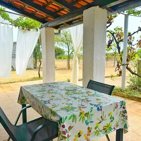 Jan Lejlighed Banjole